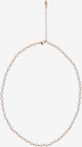 auksinė faina Grandinėlė: priekis