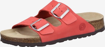 DR. BRINKMANN Pantolette 'BONILLO' in Rot: Vorderseite