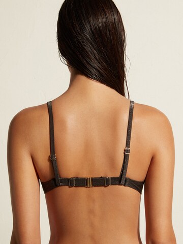 CALZEDONIA Push-up Bikinitop in Schwarz