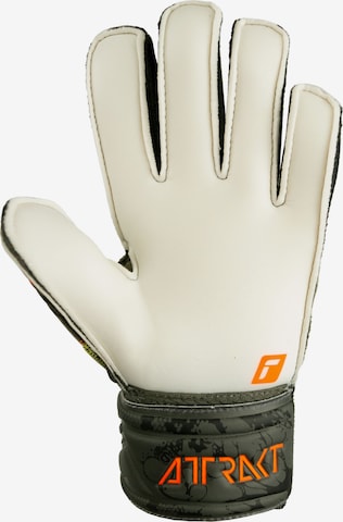 REUSCH Sporthandschoenen 'Attrakt Solid Finger Support' in Groen