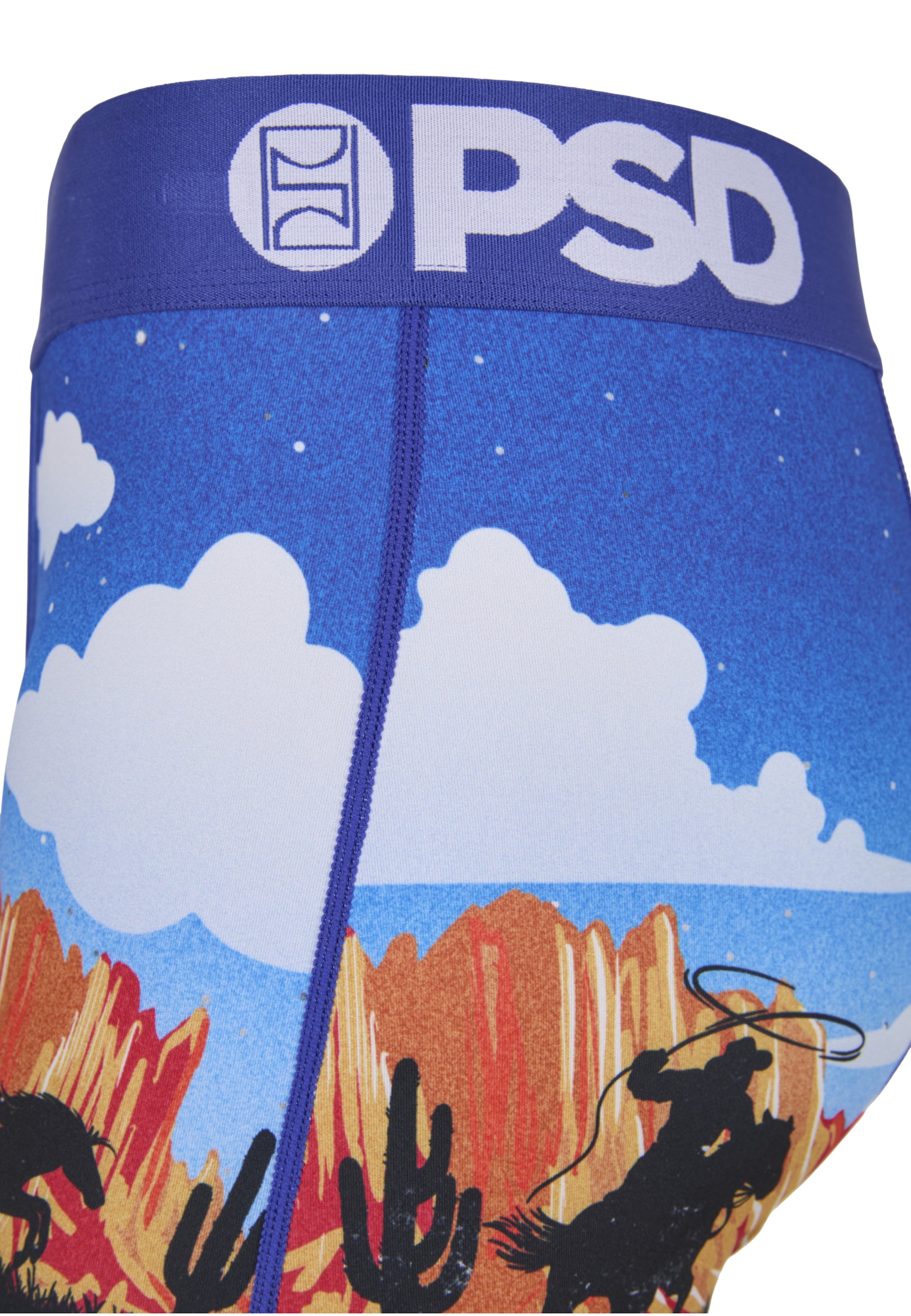 Boxers 'ACE HIGH' PSD en mélange de couleurs