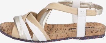 JOSEF SEIBEL Sandalen met riem in Beige