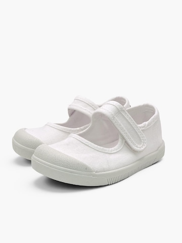 Pisamonas Ballerina's in Wit