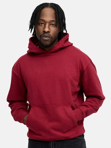 Daily Cotton Sweatshirt 'DCAUSTIN' in Rot: Vorderseite
