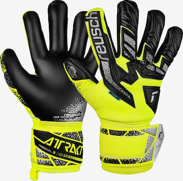 REUSCH Torwarthandschuhe 'Attrakt Freegel Silver Junior' in Gelb: Vorderseite