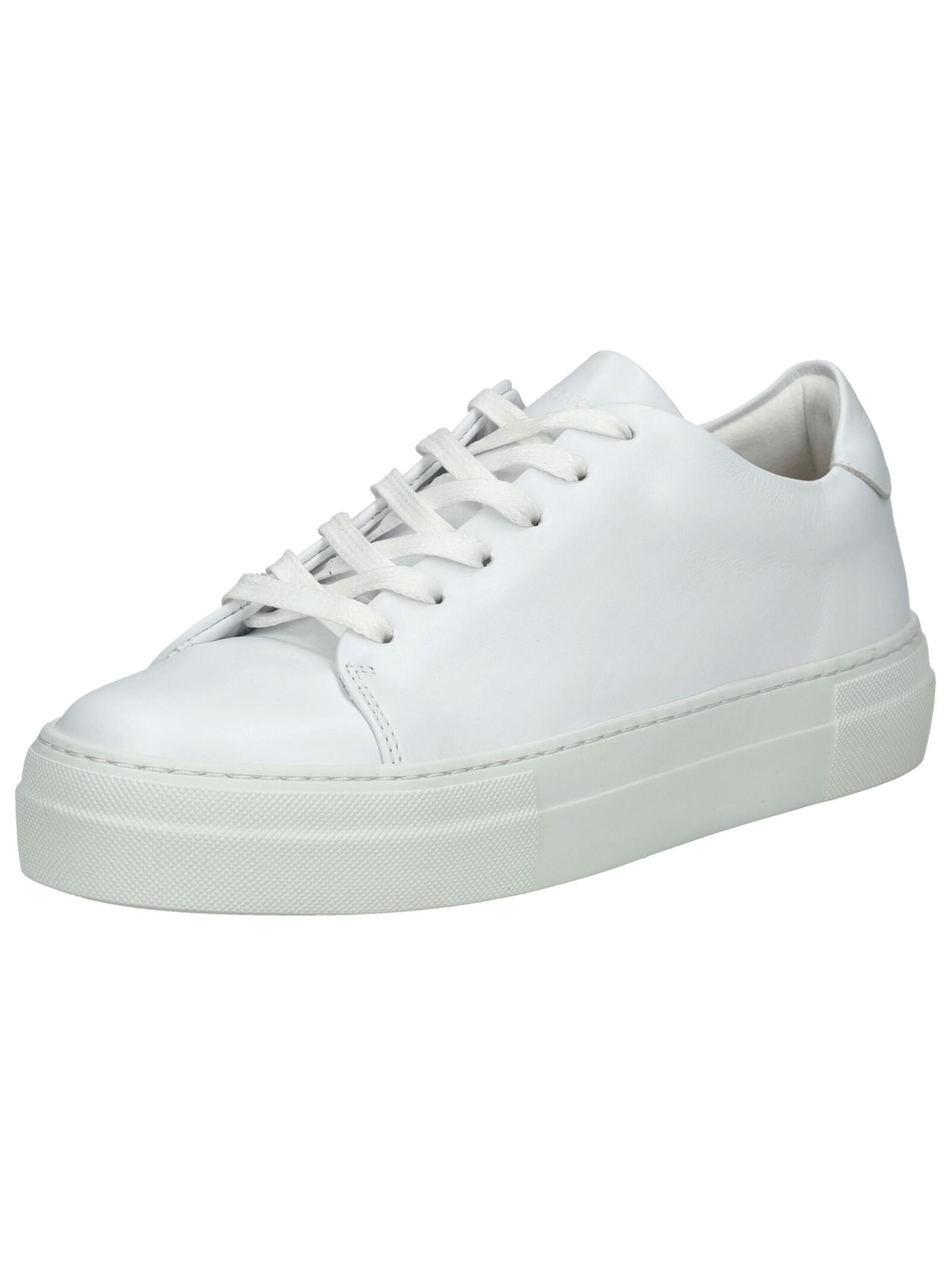 Baskets basses Sneaky Steve en blanc : devant