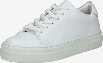 Baskets basses Sneaky Steve en blanc : devant