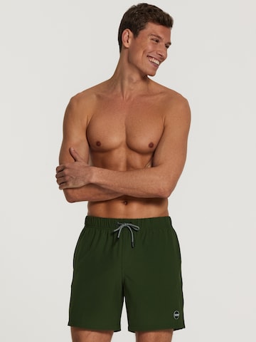 Shiwi Szorty kąpielowe 'easy mike solid 4-way stretch' w kolorze zielony: przód