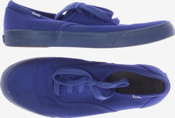 KED Sneaker 40 in Blau: predná strana