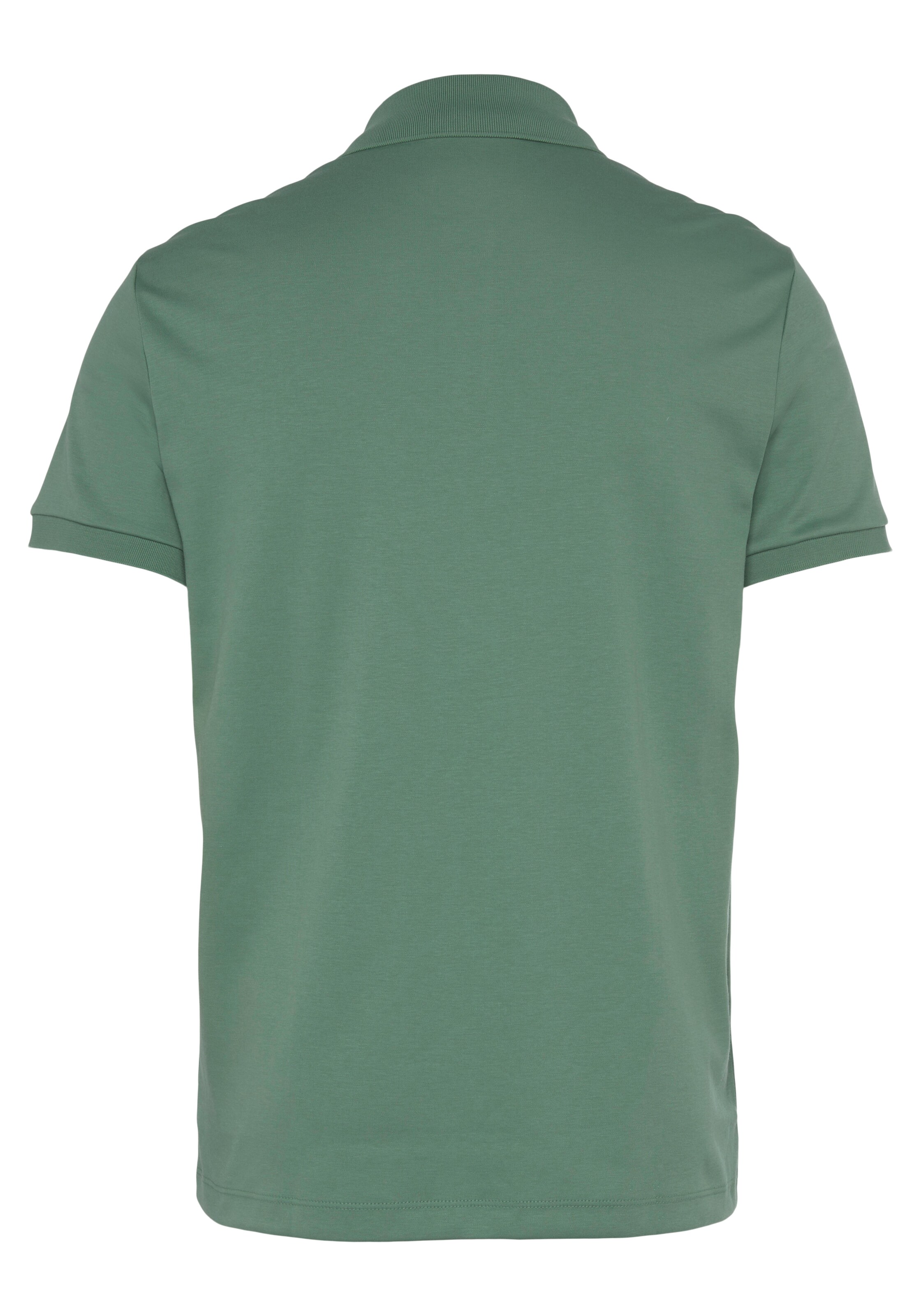 LACOSTE Regular fit Shirt in Green