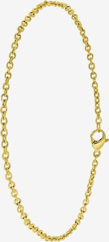 Lucardi Voetsieraden in Goud: voorkant