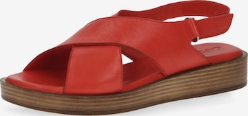 CAPRICE Sandals in Red: front