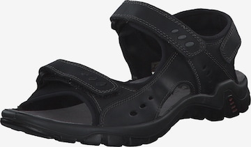 IMAC Sandale in Schwarz: Vorderseite