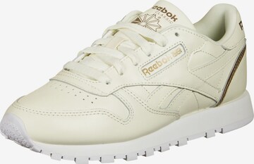 Baskets basses Reebok en beige : devant