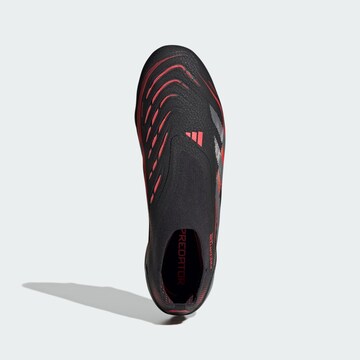 Chaussure de foot 'Predator Elite' ADIDAS PERFORMANCE en noir