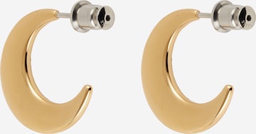 SKAGEN Earrings in Gold