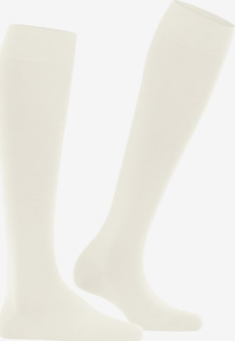 FALKE Knee High Socks 'Softmerino' in White: front