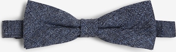 CG CLUB OF GENTS Bow Tie in Blue: front