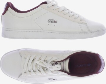 LACOSTE Sneakers & Trainers in 41 in White: front