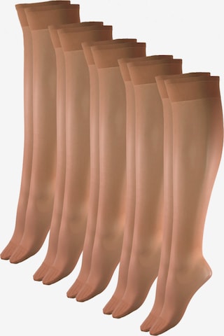 Esda Knee High Socks in Brown: front