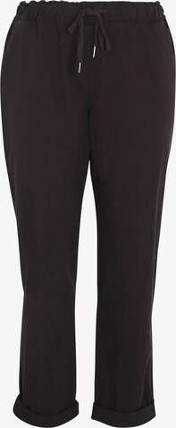 Paprika Chino Pants in Black: front