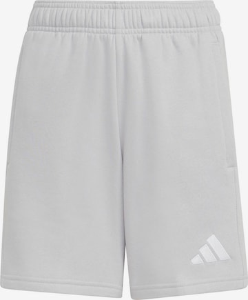 ADIDAS PERFORMANCE Regular Urheiluhousut 'ENT26' värissä harmaa: etupuoli