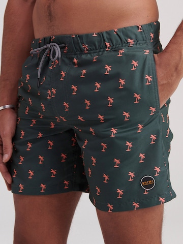 Shiwi Swimming shorts in Green