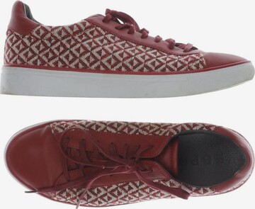 ESPRIT Sneakers & Trainers in 38 in Red: front