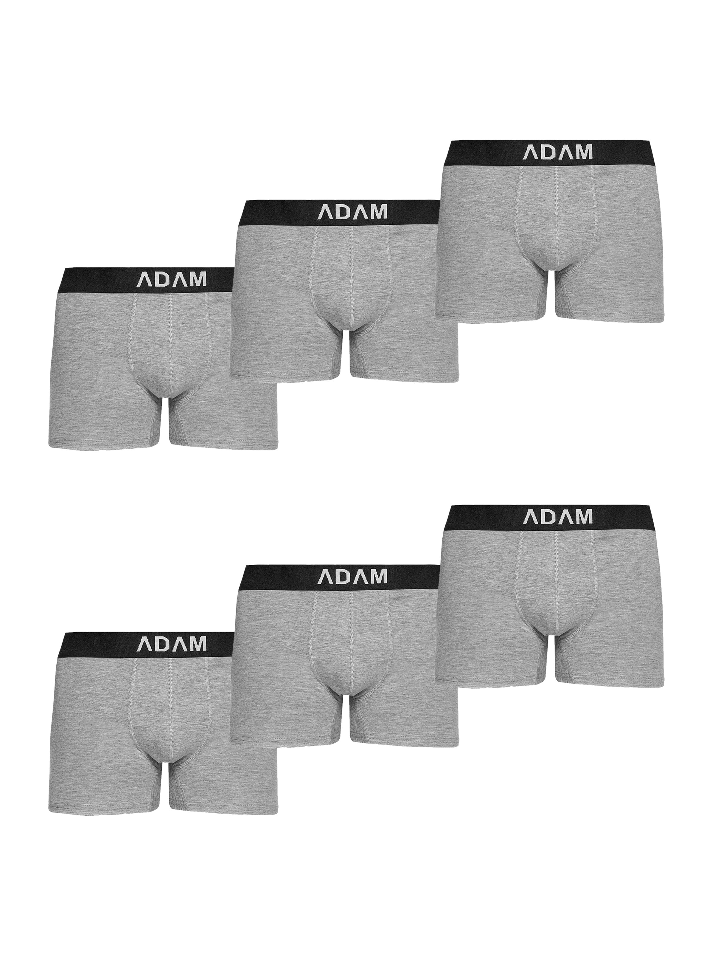 Adam Boxershorts '6er Pack'‌‌‌‌ in Grau: Vorderseite