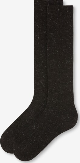 CALZEDONIA Kniestrümpfe in 36-41 in braun, Produktansicht