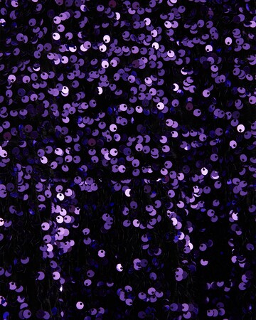 WE Fashion Skirt in Purple