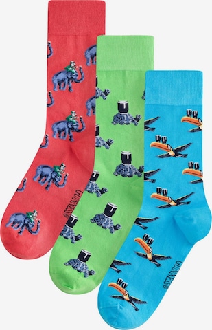 Chaussettes Next en bleu : devant