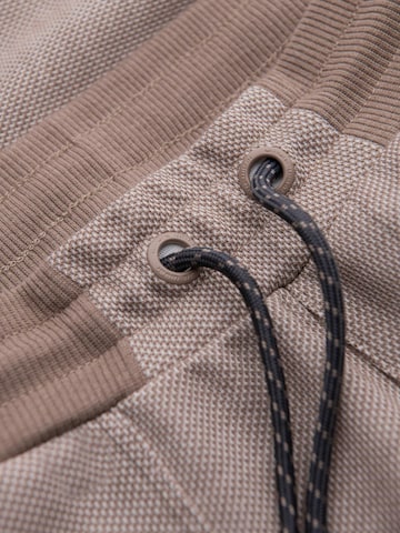 Ombre Regular Outdoor trousers in Brown