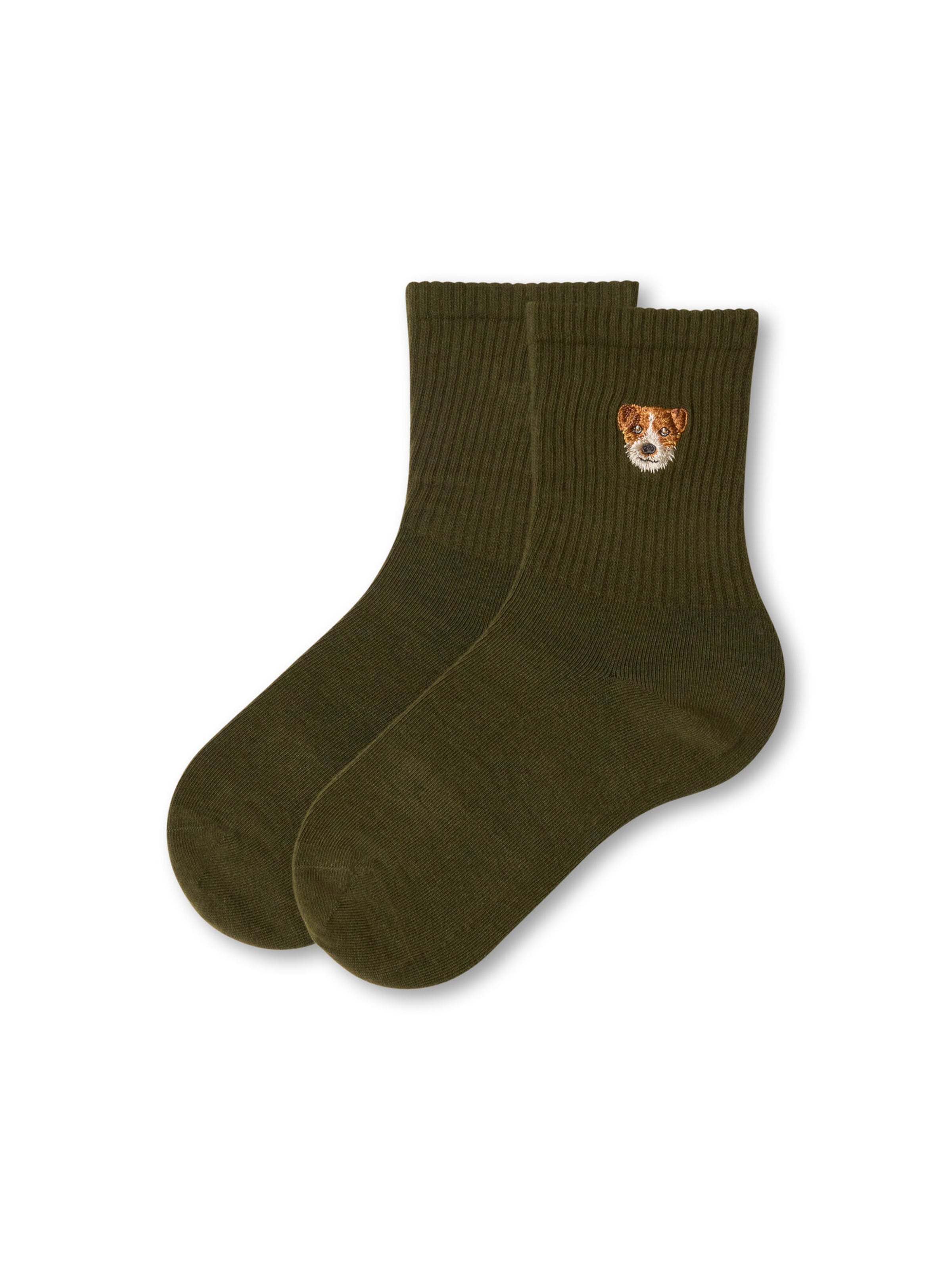 CALZEDONIA Socks in Green: front