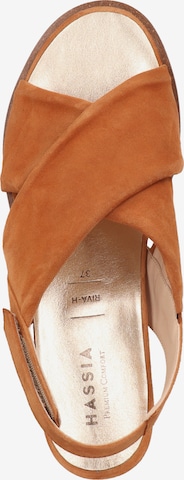 HASSIA Sandals in Brown