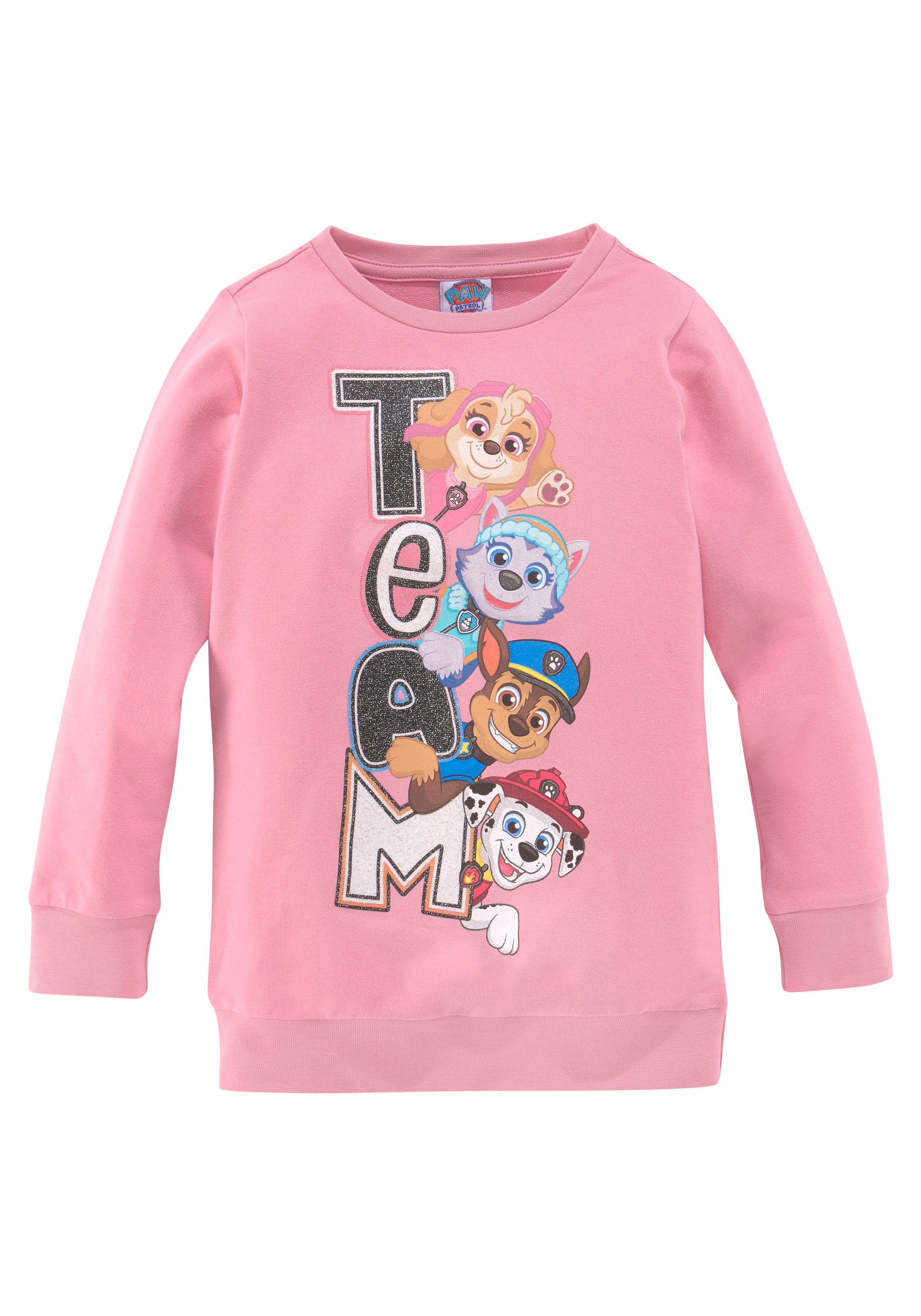 PAW Patrol Sweatshirt in Pink: front