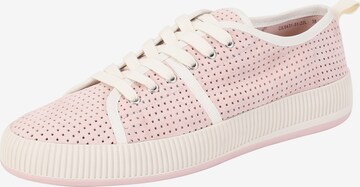 Ekonika Sneakers in Mixed colors: front