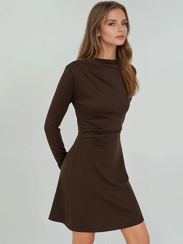Hiccup Dress in Brown