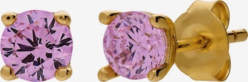 Boucles d'oreilles Lucardi en or : devant