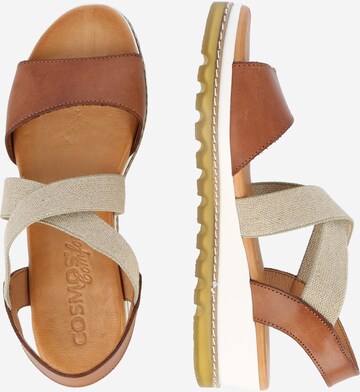 COSMOS COMFORT Sandalen met riem in Bruin