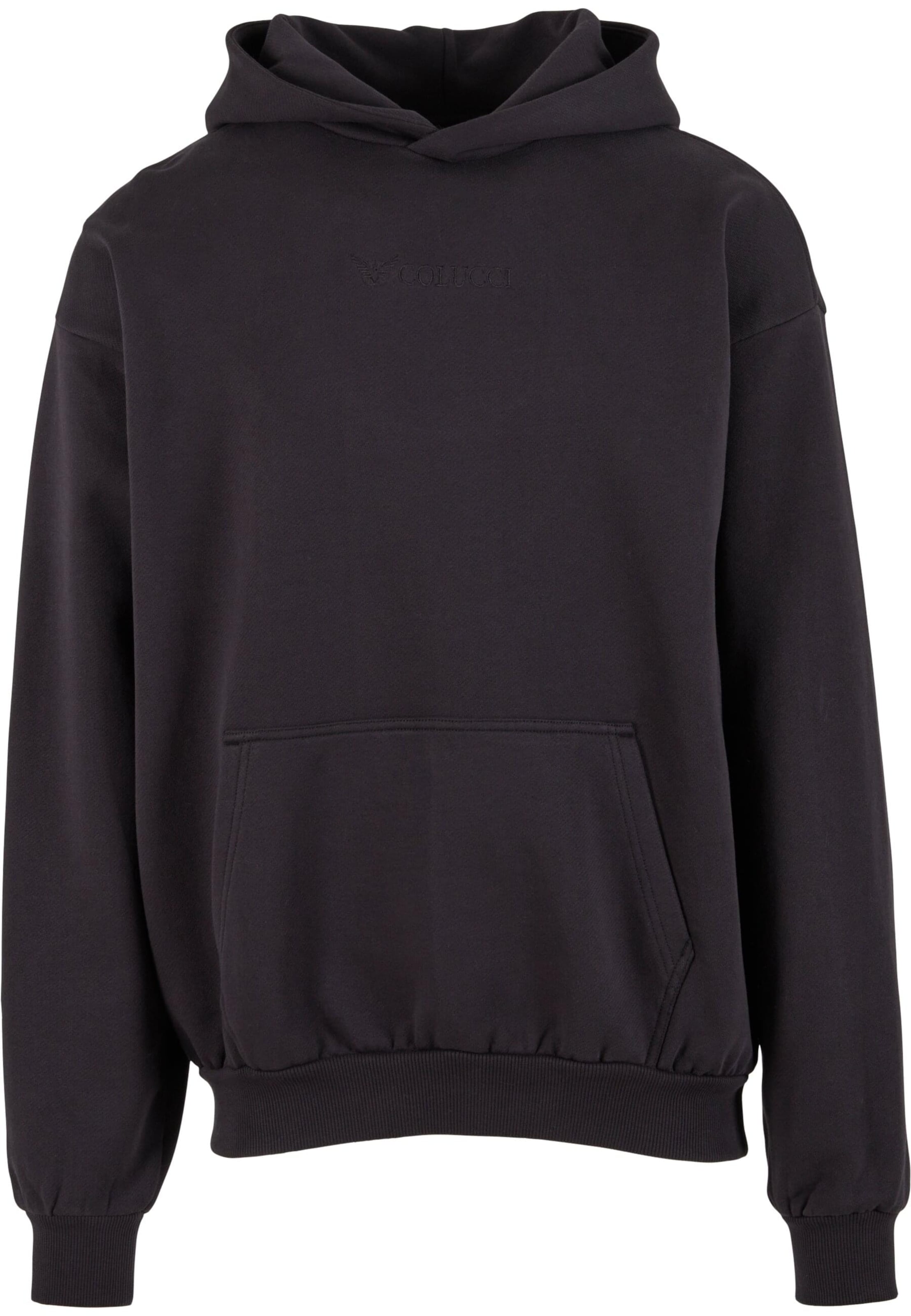 Colucci Sweatshirt 'Ikarus' in Brown: front