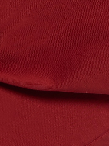 Brookshire Shirt in Red