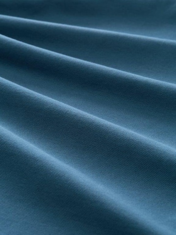 TOM TAILOR Poloshirt in Blau