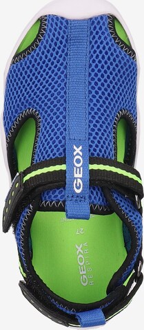 GEOX Open schoenen 'Wader' in Blauw