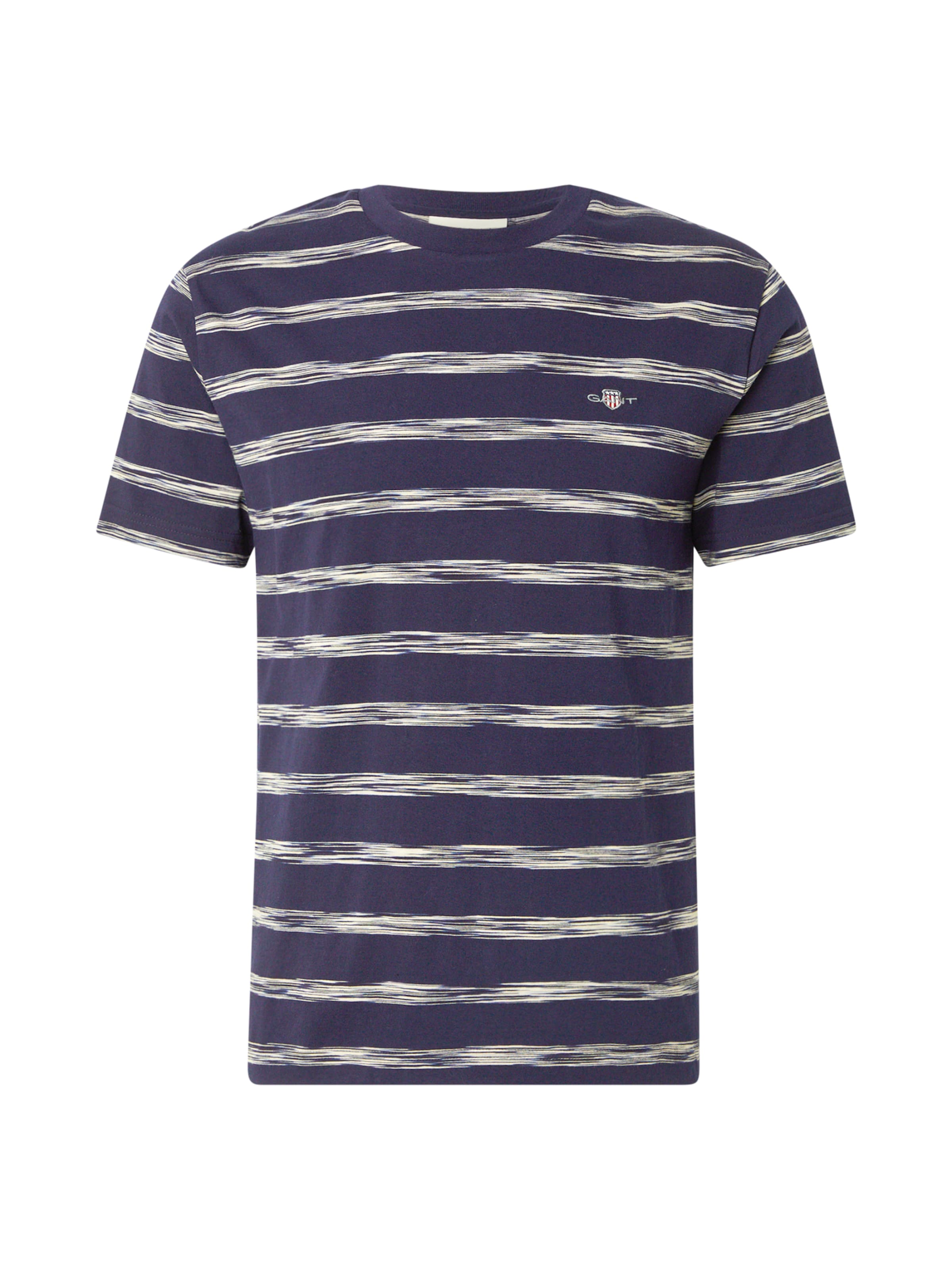 GANT Shirt in Blue: front