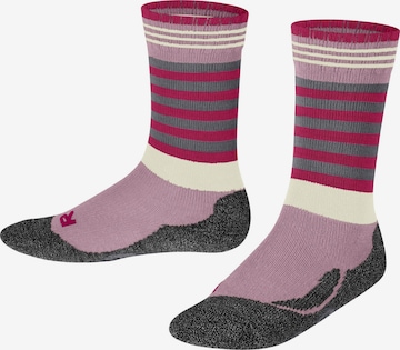 FALKE Socks 'Active Frog' in Pink: front