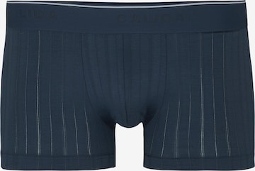 CALIDA Boxershorts 'Pure & Style' in Blau: Vorderseite