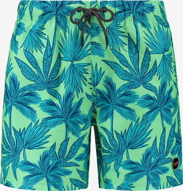 Pantaloncini da bagno 'PALM' di Shiwi in verde: frontale