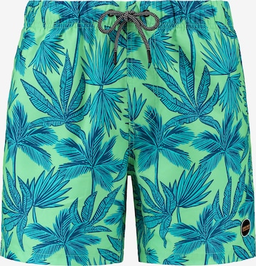 Shorts de bain 'PALM' Shiwi en vert : devant