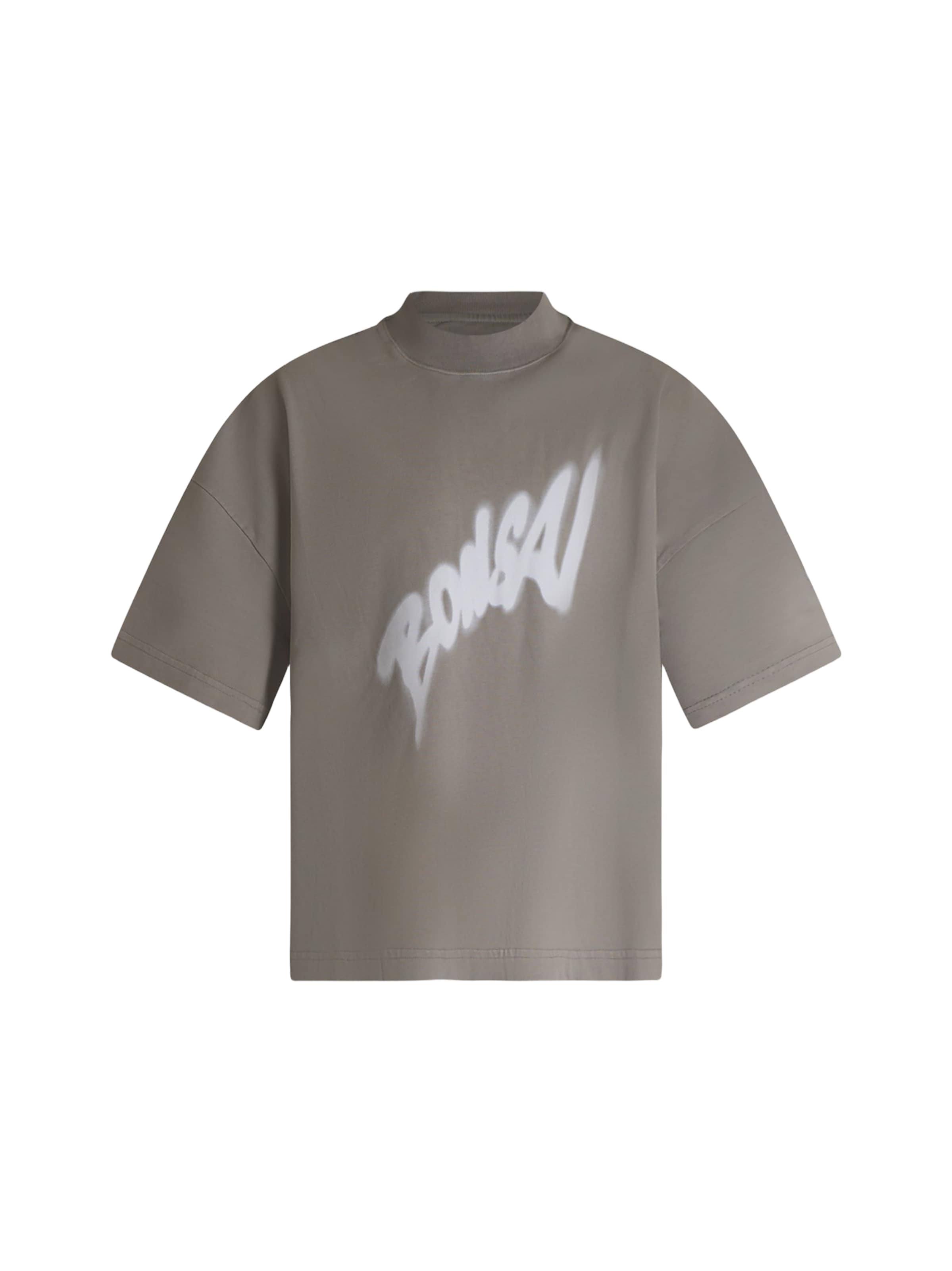 T-Shirt Bonsai en gris : devant